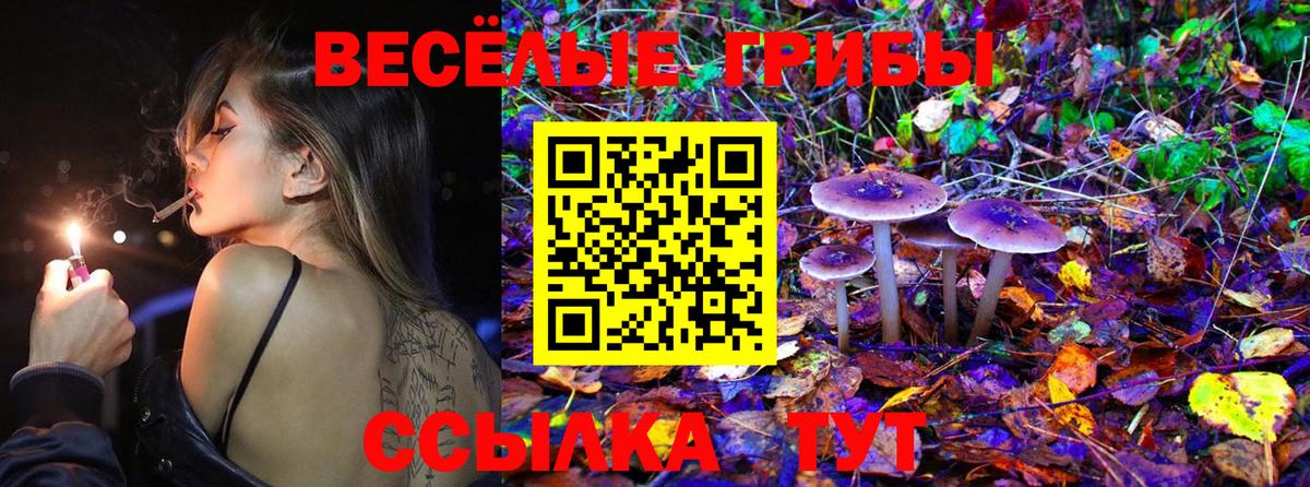 Псилоцибиновые грибы Psilocybine cubensis  Вход с VPN  Вичуга 